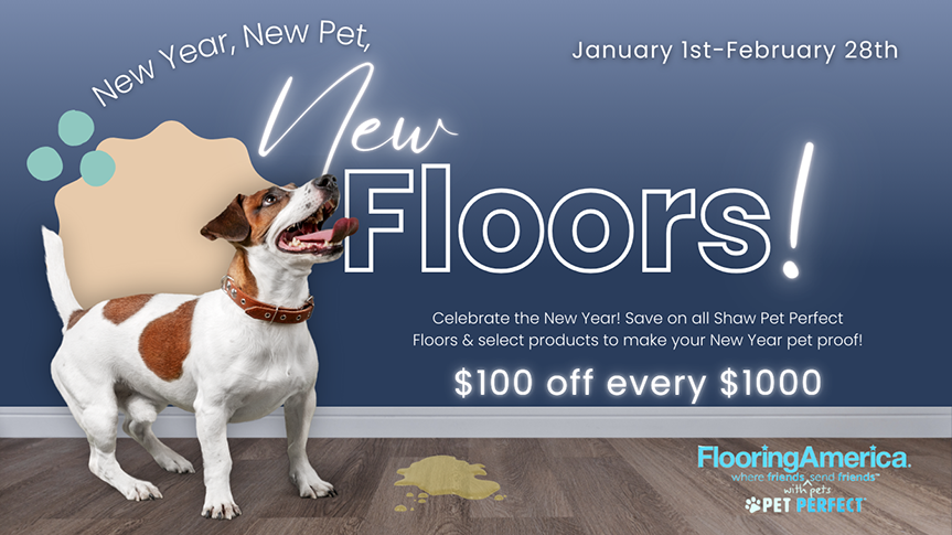 New Year, New Pet, New Floors